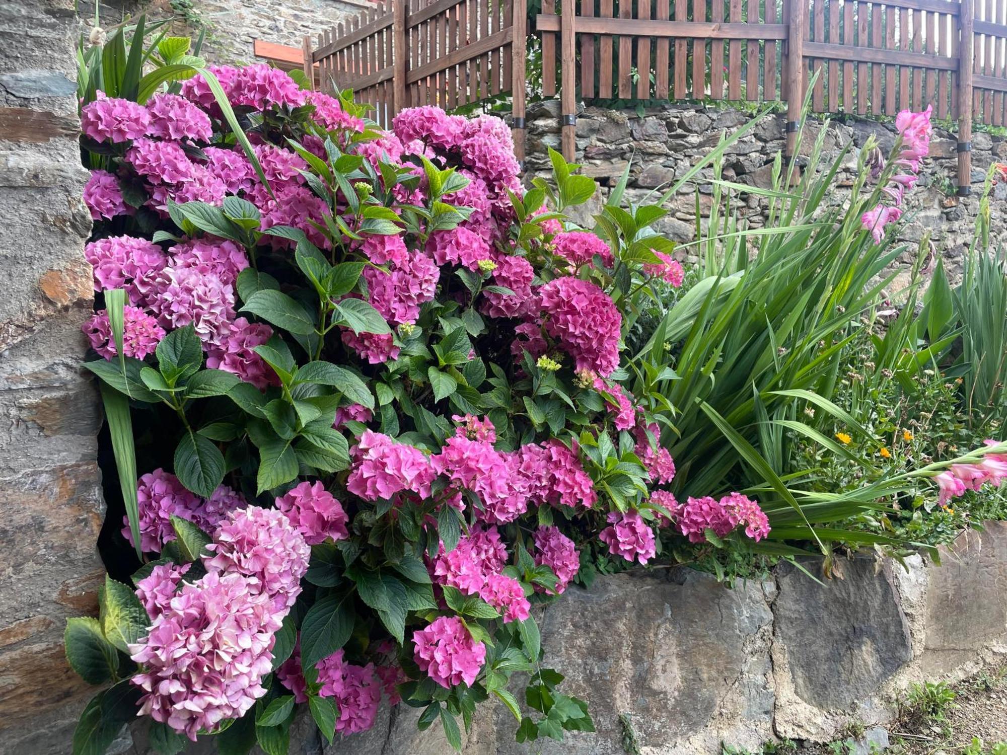 Ca L'Andreu Villa Ventola Exterior foto